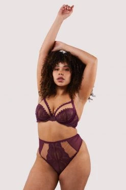 Felicity Hayward X PP New In Astrid Merlot Lace And Trim High Waisted Brief