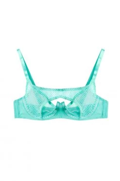 Regalia Bras Greta Mint Fishnet Overbust Wired Bra 11 Regalia Bras Greta Mint Fishnet Overbust Wired Bra