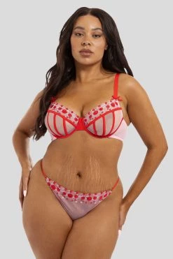 Squish Charli Pink Embroidered Balcony Bra