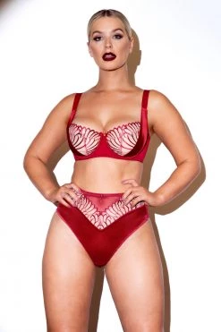 Scantilly By Curvy Kate Fallen Angel Red Balcony Bra Bras 14 Scantilly By Curvy Kate Fallen Angel Red Balcony Bra Bras