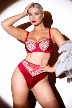 Scantilly By Curvy Kate Knickers Fallen Angel Red High Waist Brief