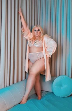 Felicity Hayward X PP Phoenix Blush Mesh And Satin Feather Bra