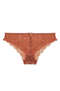 Wolf & Whistle Ariana Ginger Lace Brief New In