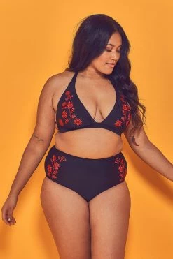 Wolf & Whistle Embroidered High Waist Bikini Brief Curve Knickers