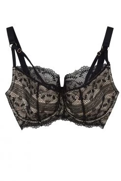 Playful Promises Ysabel Lace Bra A - D
