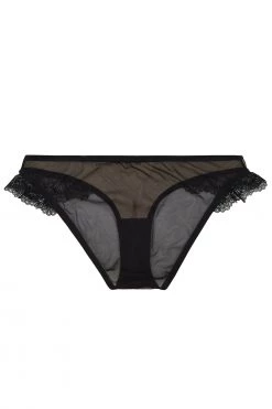 Playful Promises Ysabel Curve Lace Brief Knickers