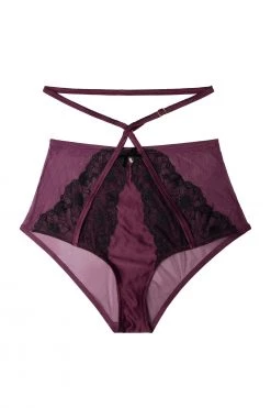 Playful Promises Muriel Purple High Waist Brief