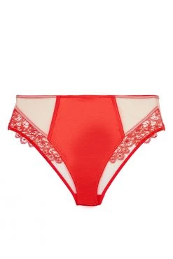 Playful Promises New In Anaise Red Highwaist Brief
