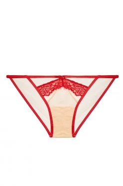 Hustler Mya Red Lace Brief Free Sexy Summer Brief