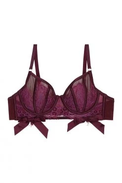 Playful Promises Josephine Aubergine Corded Lace Bra