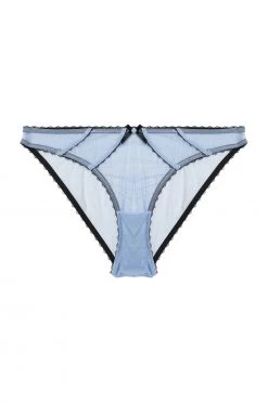 Deja Day Grace Lavender Mesh Brief