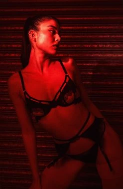 Hustler Tallie Lace Trim Cut Out Wired Bra New In