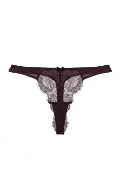 Hustler New In Alvara Plum Lace Thong