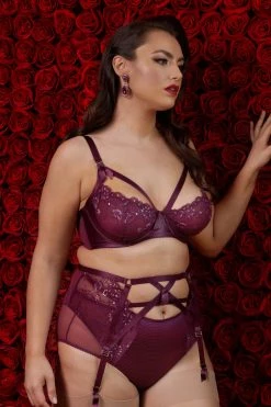 Dita Von Teese Lingerie Madame X Dark Cherry High Waist Curve Suspender