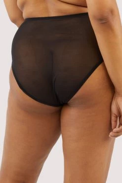 Playful Promises Curve Exclusive Alaina Illusion Mesh And Black Applique Brief