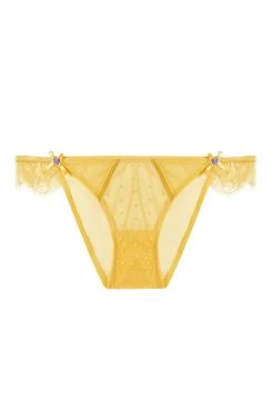 Playful Promises New In Ziggy Mango Lace And Spotted Mesh Brief