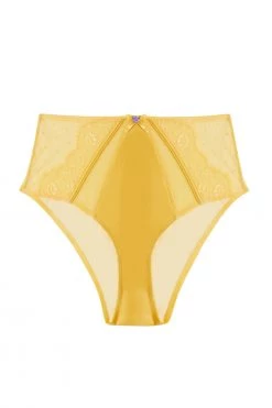 Playful Promises Ziggy Mango Lace And Spotted Mesh High Waisted Brief New In