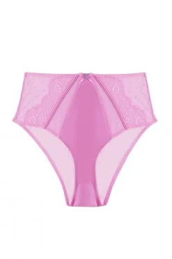 Playful Promises Ziggy Pink Lace And Spotted Mesh High Waisted Brief