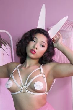 Regalia Erotic Baby Pink Nipple Pasties