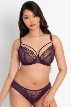 Scantilly New In Fascinate Plum Brazilian Brief