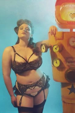 Playful Promises Ysabel Curve Lace Brief Knickers